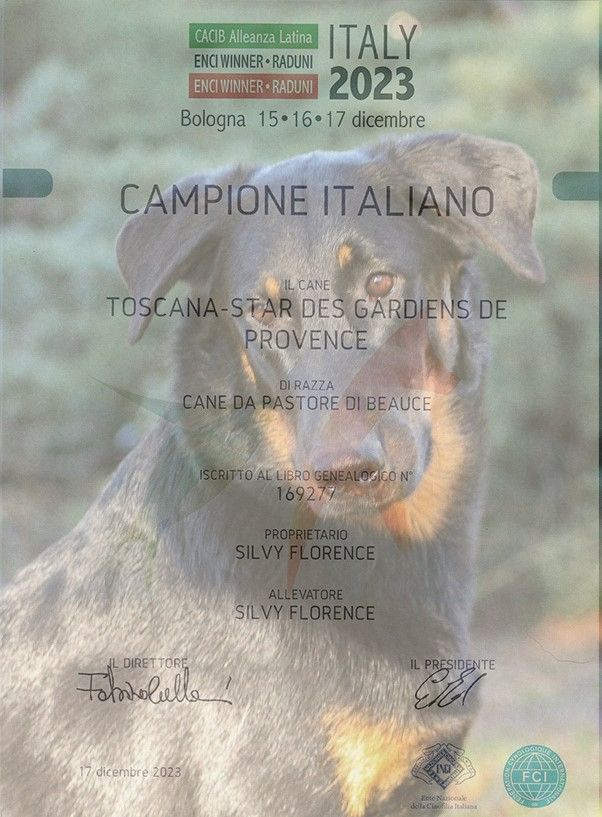 Des Gardiens De Provence - Toscana-Star - Championne d'Italie 2023