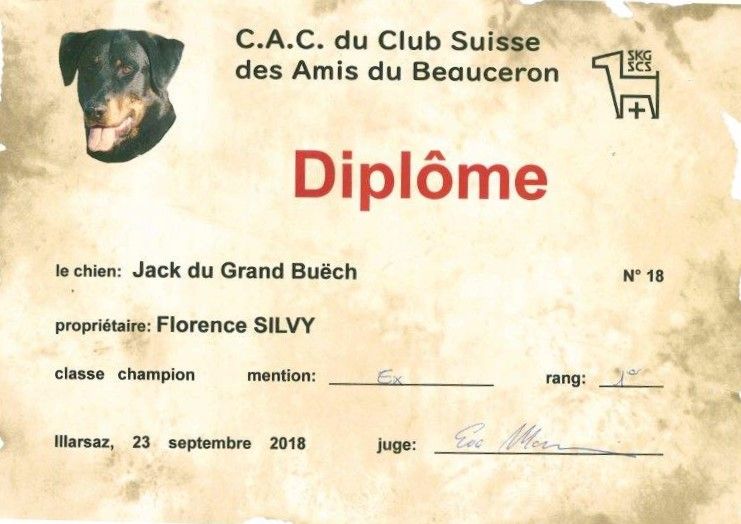 CH. Jack Du Grand Buech