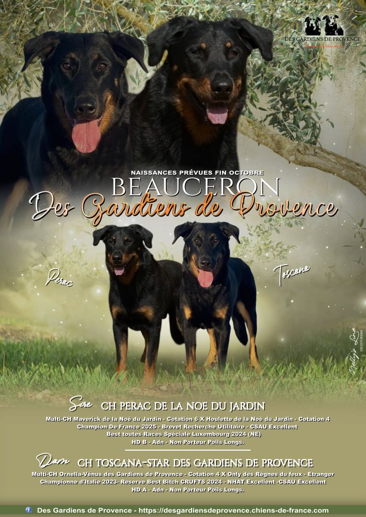 Des Gardiens De Provence - Des bébés fin Octobre
