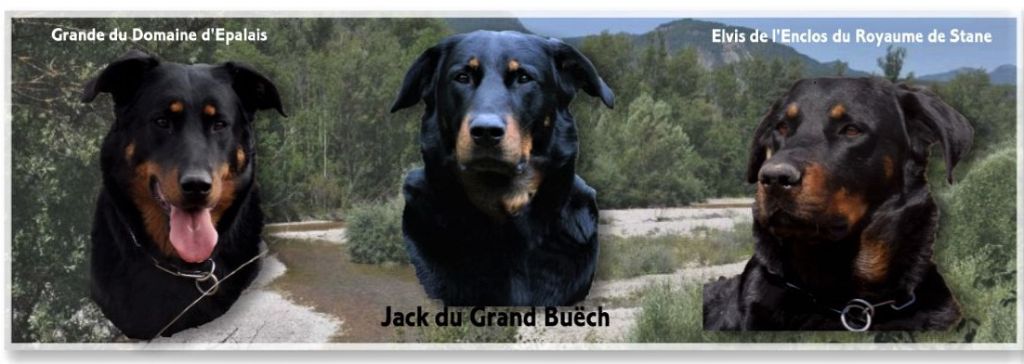 Des Gardiens De Provence - Jack vous présente ses parents